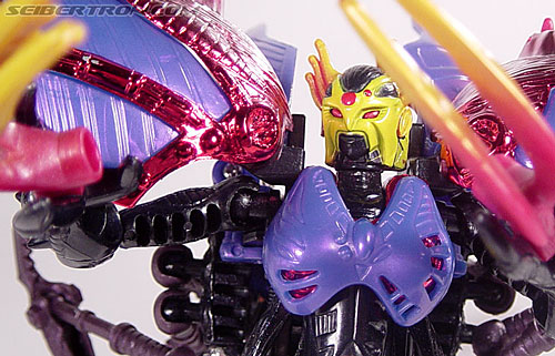 Transformers Beast Wars Metals Blackarachnia (Black Widow) (Image #65 of 85)