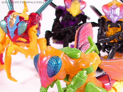 Transformers Beast Wars Metals Buzzclaw (Image #21 of 73)
