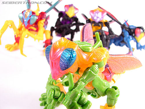 Transformers Beast Wars Metals Buzzclaw (Image #22 of 73)