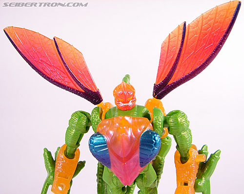 Transformers Beast Wars Metals Buzzclaw (Image #28 of 73)