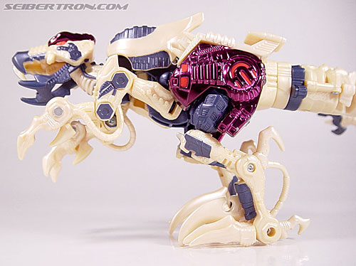 Transformers Beast Wars Metals Dinobot 2 (Image #16 of 112)