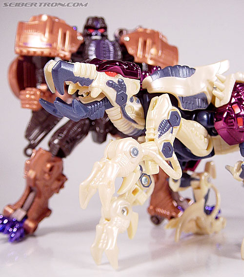 Transformers Beast Wars Metals Dinobot 2 (Image #27 of 112)
