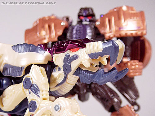 Transformers Beast Wars Metals Dinobot 2 (Image #28 of 112)