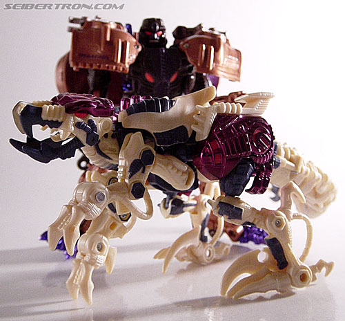 Transformers Beast Wars Metals Dinobot 2 (Image #29 of 112)