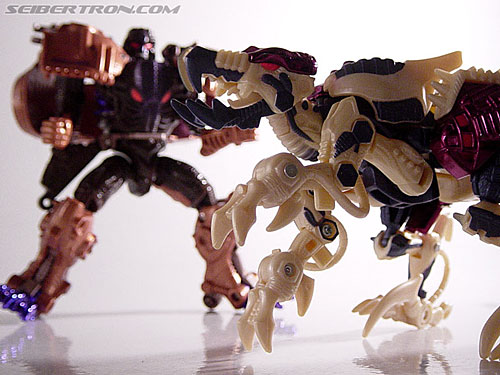 Transformers Beast Wars Metals Dinobot 2 (Image #31 of 112)