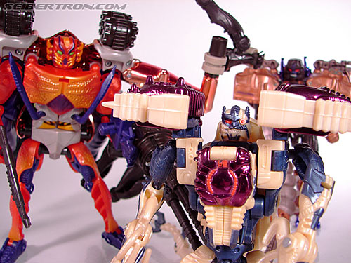 Transformers Beast Wars Metals Dinobot 2 (Image #37 of 112)