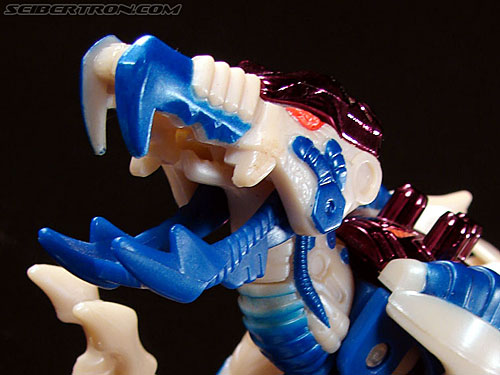 Transformers Beast Wars Metals Dinobot 2 (Image #17 of 90)