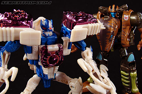 Transformers Beast Wars Metals Dinobot 2 (Image #78 of 90)