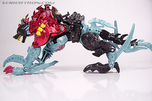 Transformers Beast Wars Metals Jawbreaker (Image #9 of 64)