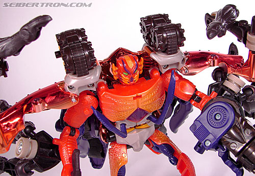 Transformers Beast Wars Metals Rampage (Image #123 of 163)