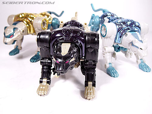 Transformers Beast Wars Metals Ravage (Jaguar) (Image #21 of 112)