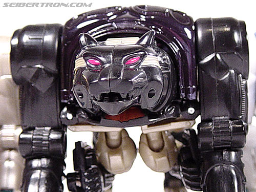 transformers beast wars ravage toy