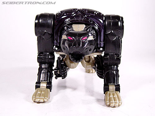 Transformers Beast Wars Metals Ravage (Jaguar) (Image #38 of 112)