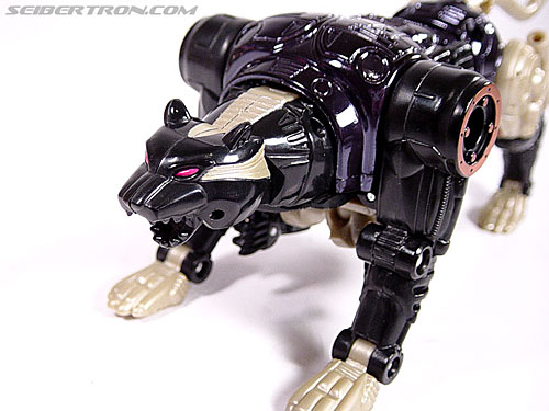 Transformers Beast Wars Metals Ravage (Jaguar) (Image #39 of 112)