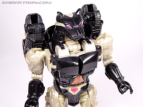 Transformers Beast Wars Metals Ravage (Jaguar) (Image #46 of 112)