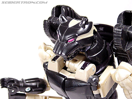 Transformers Beast Wars Metals Ravage (Jaguar) (Image #68 of 112)