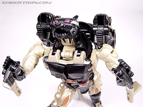 Transformers Beast Wars Metals Ravage (Jaguar) (Image #73 of 112)