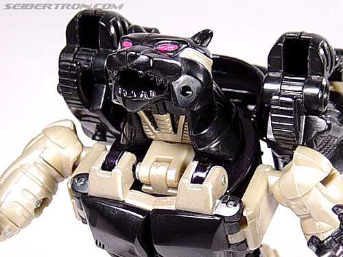 Transformers Beast Wars Metals Ravage (Jaguar) (Image #76 of 112)
