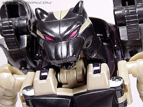 Transformers Beast Wars Metals Ravage (Jaguar) (Image #97 of 112)