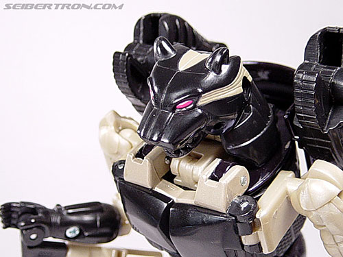 Transformers Beast Wars Metals Ravage (Jaguar) (Image #99 of 112)