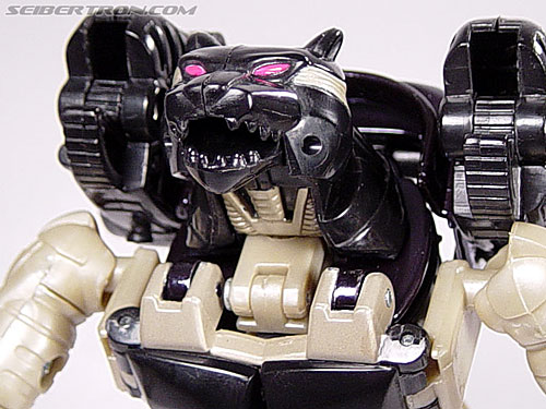 Transformers Beast Wars Metals Ravage (Jaguar) (Image #105 of 112)