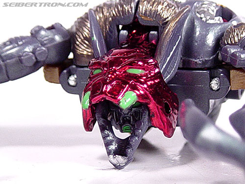 Transformers Beast Wars Metals Sonar (Image #5 of 31)