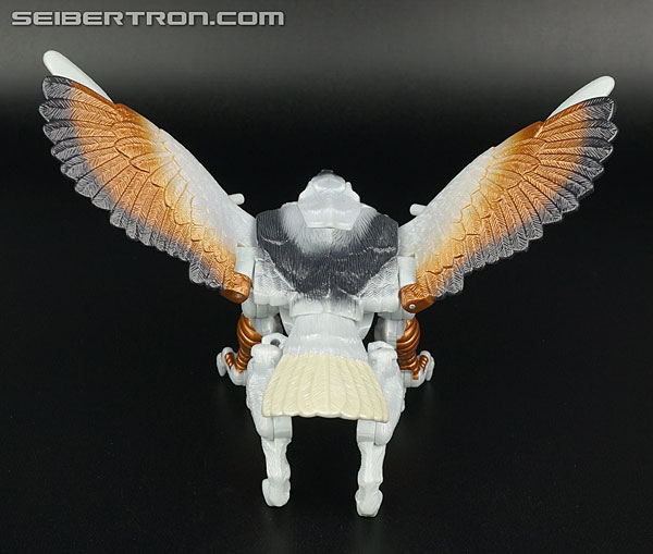 Transformers Beast Wars Metals Silverbolt (Image #30 of 149)