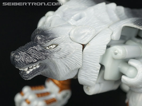 Transformers Beast Wars Metals Silverbolt (Image #40 of 149)