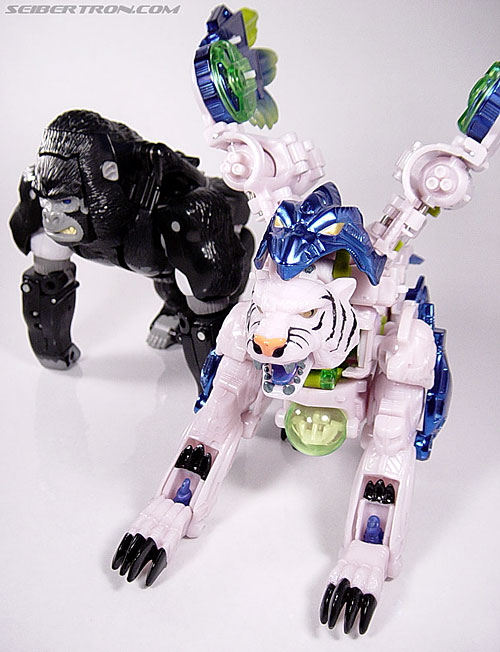 Transformers Beast Wars Metals Tigerhawk (Tigerfalcon) (Image #24 of 74)