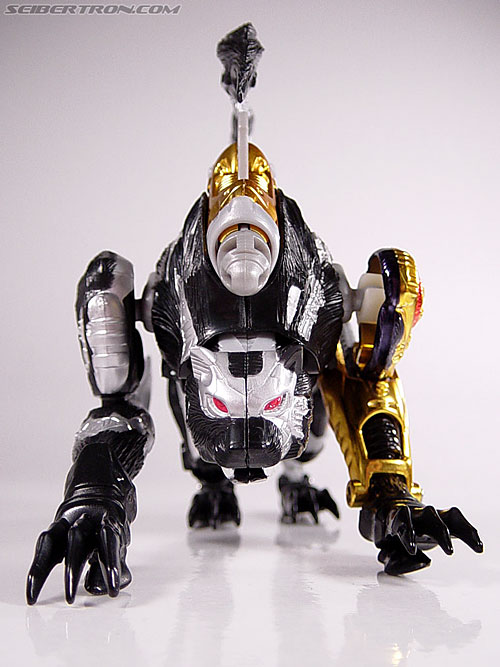 tripredacus toy