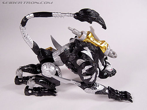 tripredacus toy