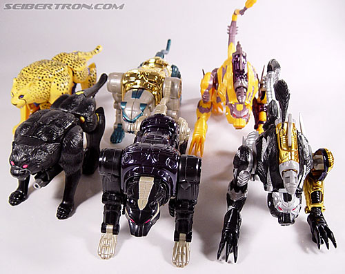 Transformers Beast Wars Metals Tripredacus Agent (Image #36 of 81)