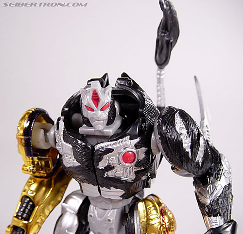 tripredacus toy