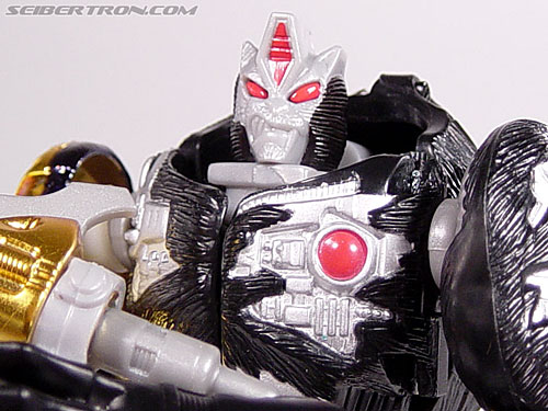 Transformers Beast Wars Metals Tripredacus Agent (Image #58 of 81)
