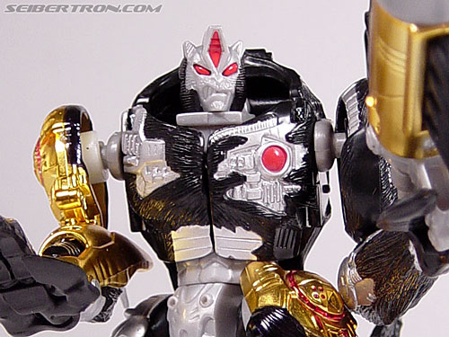 tripredacus toy