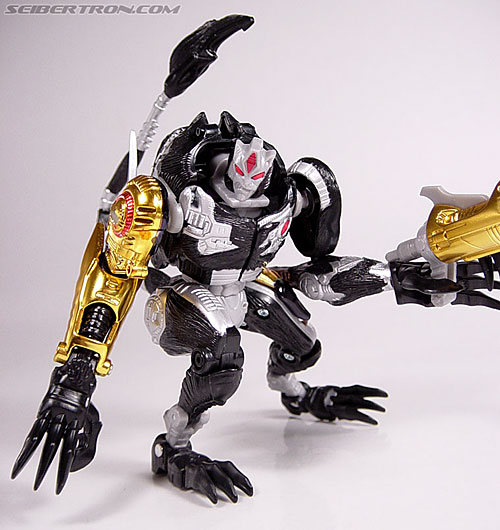 tripredacus toy