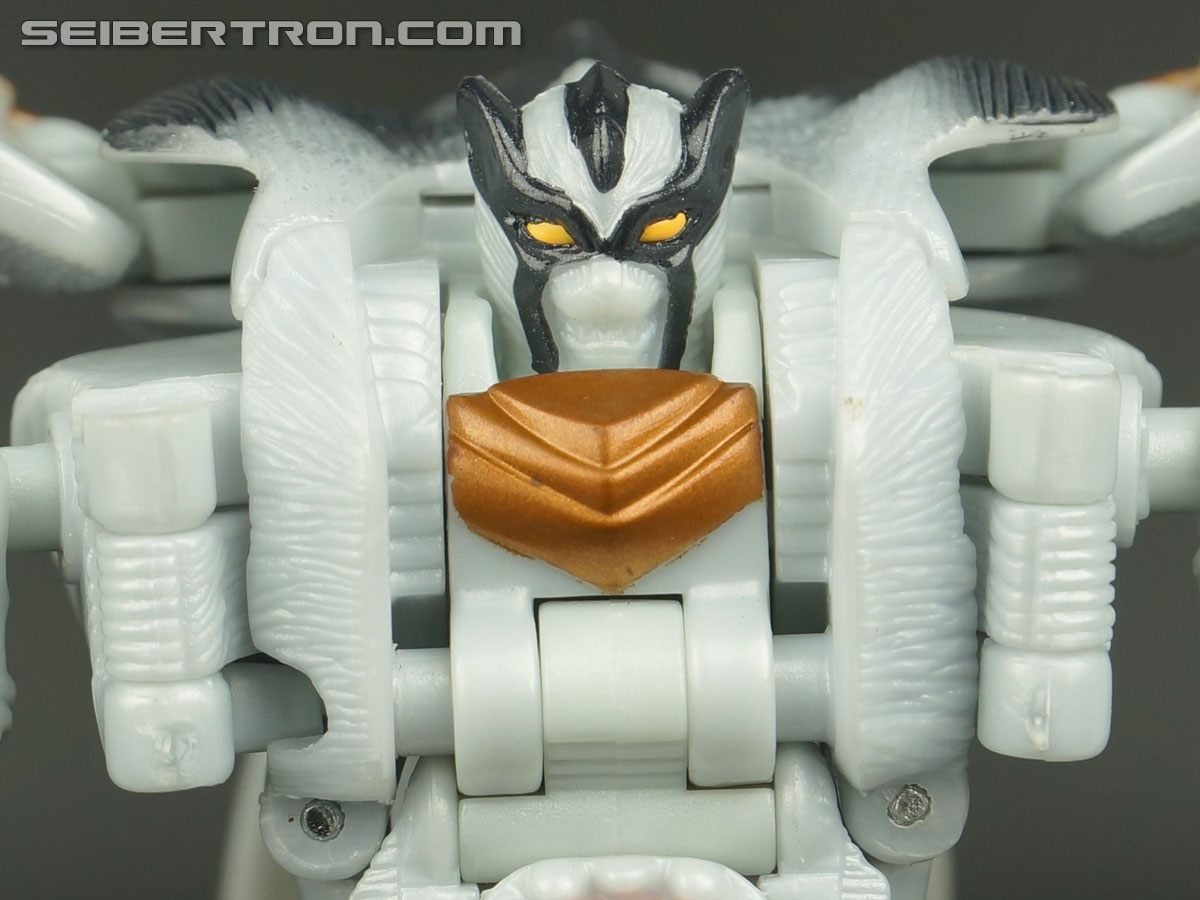 Transformers Beast Wars Metals Silverbolt (Image #71 of 149)