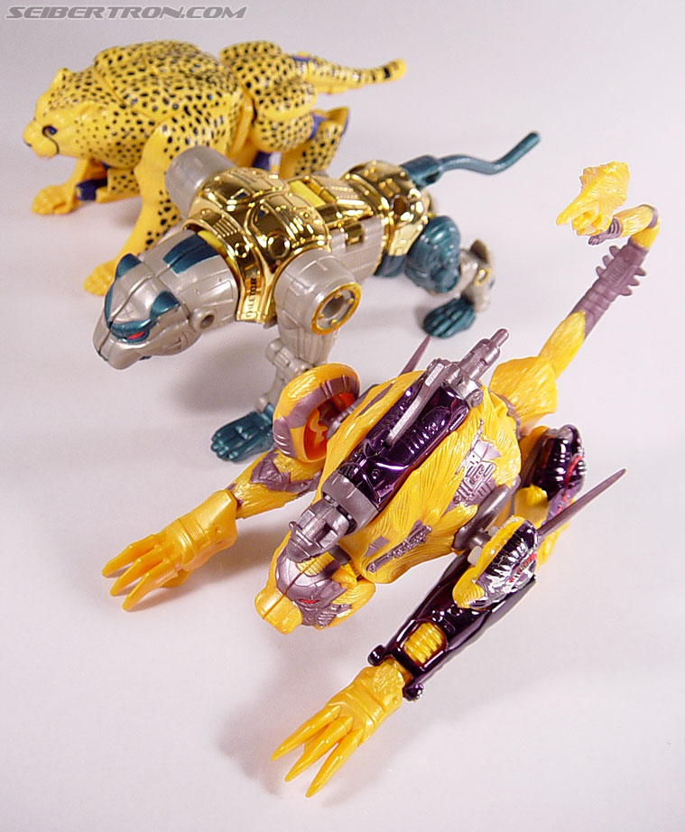 Transformers Beast Wars Metals Cheetor (Image #25 of 68)