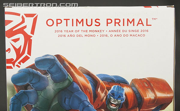 Transformers Platinum Edition Year of the Monkey Optimus Primal (Image #15 of 161)