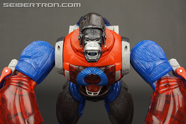 Transformers Platinum Edition Year of the Monkey Optimus Primal (Image #30 of 161)