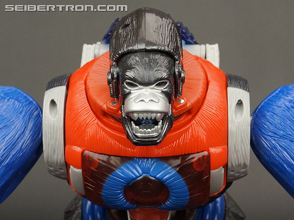 Transformers Platinum Edition Year of the Monkey Optimus Primal (Image #31 of 161)