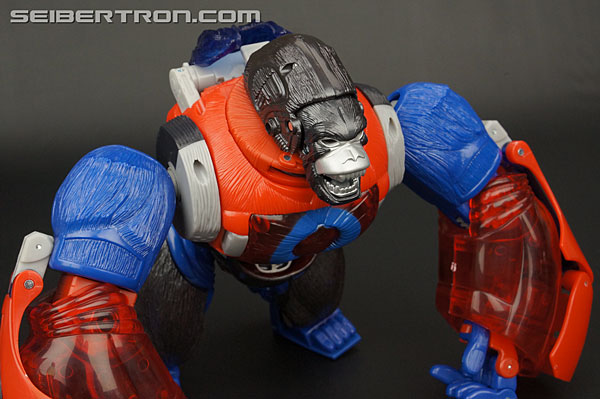 Transformers Platinum Edition Year of the Monkey Optimus Primal (Image #32 of 161)