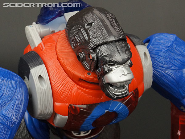 Transformers Platinum Edition Year of the Monkey Optimus Primal (Image #33 of 161)