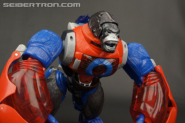 Transformers Platinum Edition Year of the Monkey Optimus Primal (Image #34 of 161)