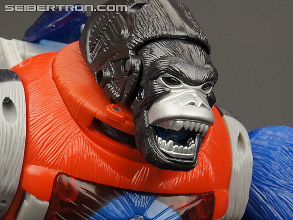 Transformers Platinum Edition Year of the Monkey Optimus Primal (Image #36 of 161)