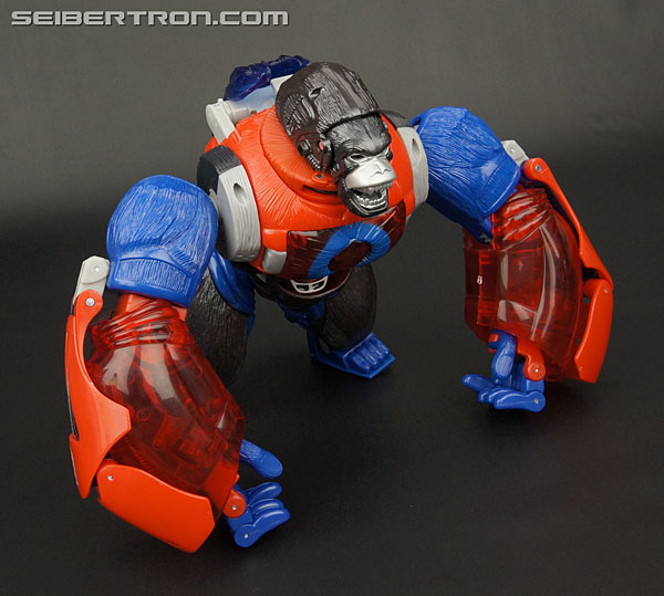Transformers Platinum Edition Year of the Monkey Optimus Primal (Image #38 of 161)