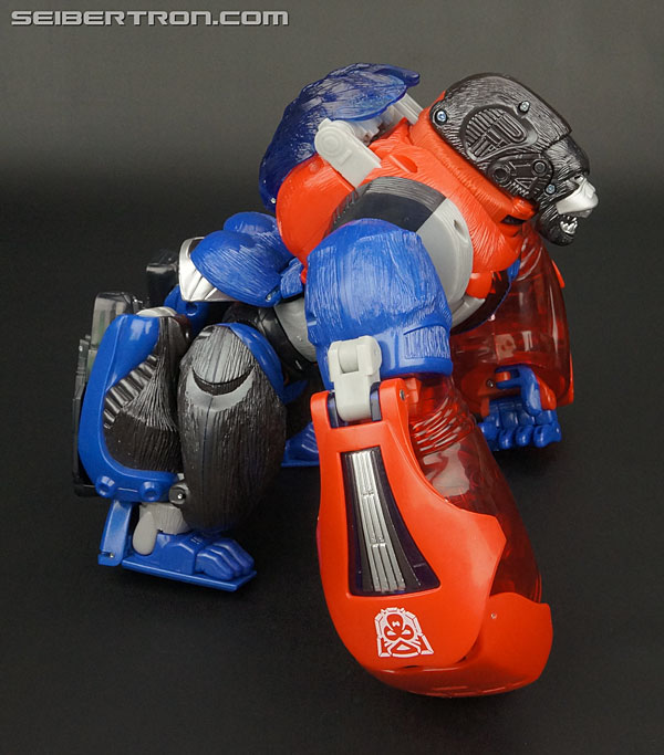 Transformers Platinum Edition Year of the Monkey Optimus Primal (Image #41 of 161)