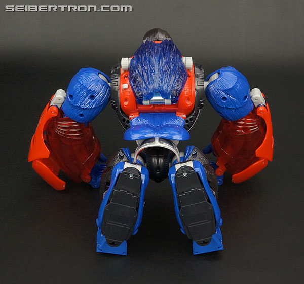 Transformers Platinum Edition Year of the Monkey Optimus Primal (Image #43 of 161)