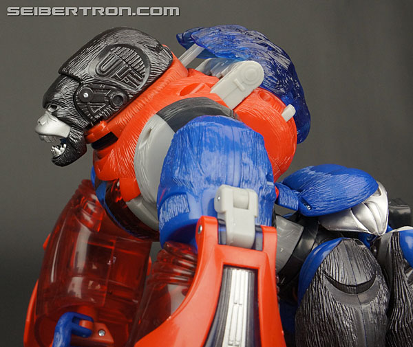 year of the monkey optimus primal