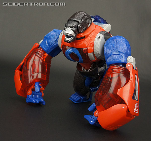 Transformers Platinum Edition Year of the Monkey Optimus Primal (Image #48 of 161)